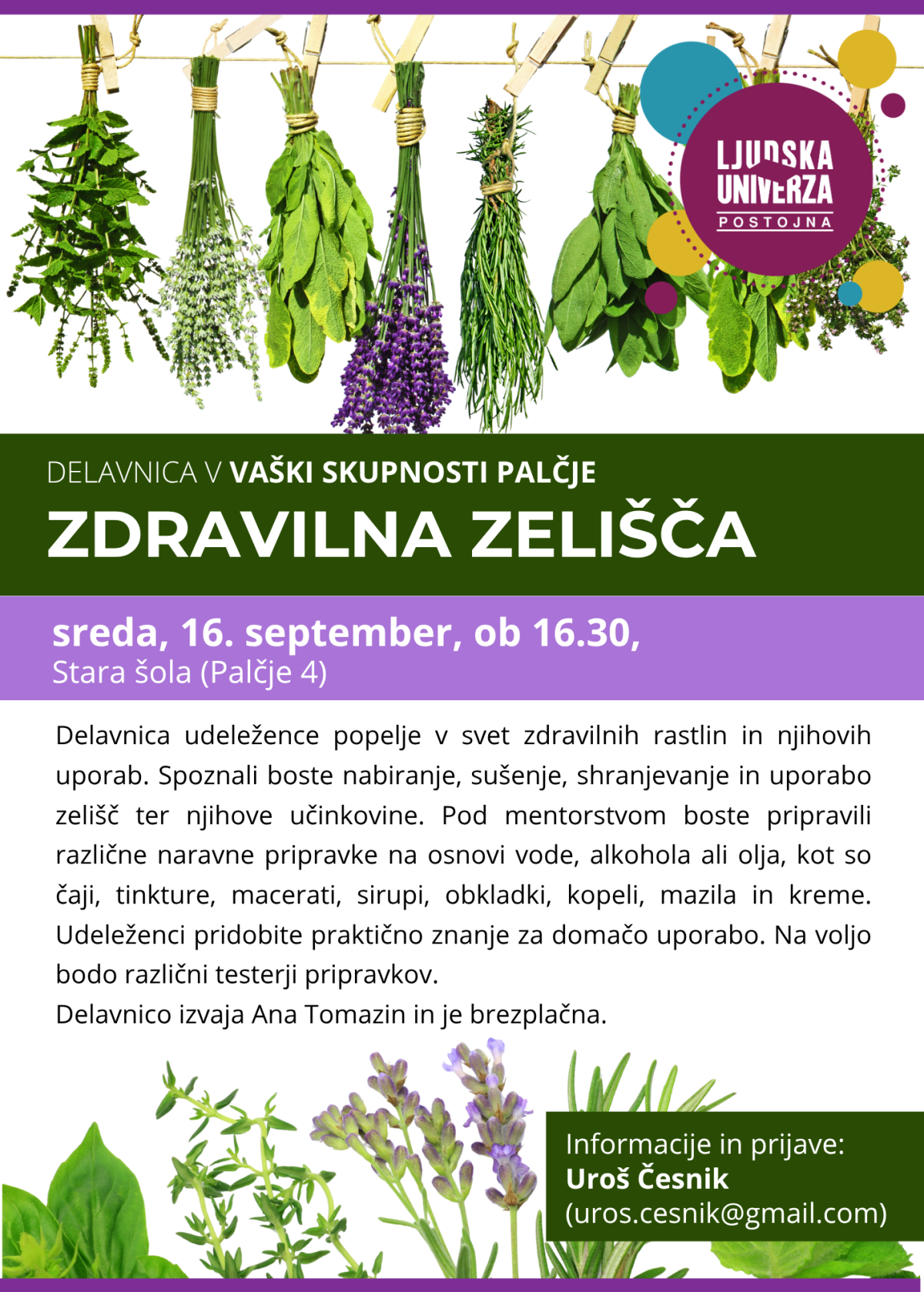 zdravilna zelišča_Palčje